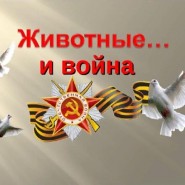 Маленькие герои большой войны фотографии