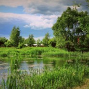 Аграфена Купальница фотографии