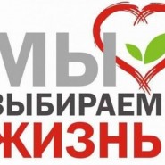«Против наркотиков» фотографии