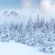 Выставка «Узоры зимы» фотографии