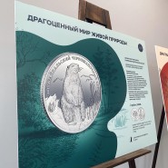 Выставка «Драгоценный мир живой природы» фотографии