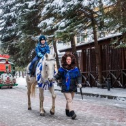 Прогулка на лошадях и пони фотографии