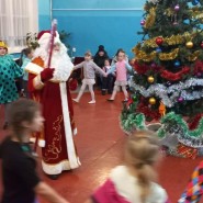 «В ледяной лесной опушке...» фотографии