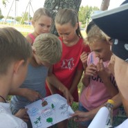 «Найти сокровища пиратов фотографии