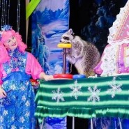 Цирковое представление «Новогодний переполох» фотографии