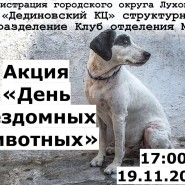 Акция «День бездомных животных» фотографии