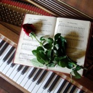 Концерт русских классических романсов «Мой голос для тебя и ласковый и нежный» фотографии