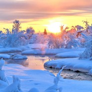 Открытие выставки «Красота рядом - просто посмотри!» фотографии