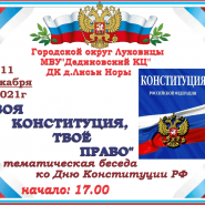 Тематическая беседа «Твоя Конституция,твоё право!» фотографии