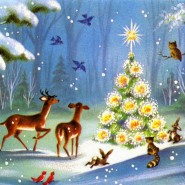 «Зимняя сказка» фотографии