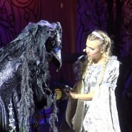 Мюзикл «Аленький цветочек» фотографии