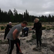 Акция «Посади дерево» фотографии
