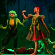 Дюймовочка и королевство эльфов фотографии