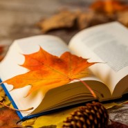 Театрализованное представление «День Знаний» фотографии