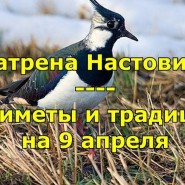 Видеоролик «Братцы–месяцы. Девятое апреля. Матрена–настовница. Полурепница» фотографии