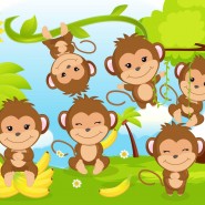 «Такие разные обезьянки» фотографии