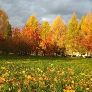 «Мое любимое кино» фотографии