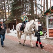 Прогулка на пони и лошадях фотографии