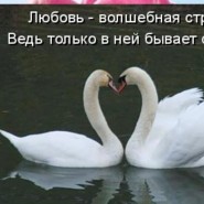 «Любовь - волшебная страна» фотографии