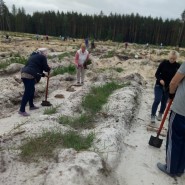 Акция «Посади дерево» фотографии