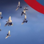 «Пусть всегда будет мир!» – познавательная программа фотографии