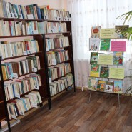 Подосинковская сельская библиотека фотографии