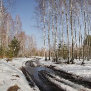 МУЛЬТдискотека фотографии