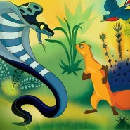 Рикки-Тикки-тави фотографии