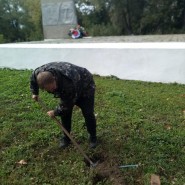 Акция «Посади дерево» фотографии