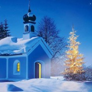 «Рождественский переполох» фотографии