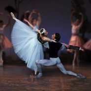 Балет «Жизель» фотографии