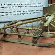 Видеотрансляция. Старинные санки. фотографии