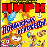 Цирк «Лохматые непоседы» фотографии