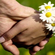 «Семья, где в каждом творческое «Я»» фотографии