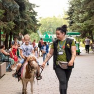 Пони и лошади фотографии