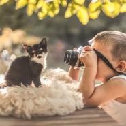 Игровая программа ко Дню фотографа «Как прекрасен этот мир» фотографии