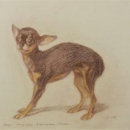 Выставка «Мир животных в мире искусства» фотографии