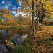 В мире животных фотографии