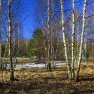 «Мульт история» фотографии