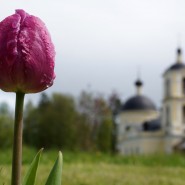 Виртуальная фотовыставка «Весна в Рузском крае фотографии