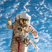 «Выход в космос разрешаю» интерактивная игра фотографии