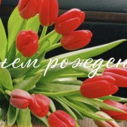 Игра мульт-путешествие фотографии