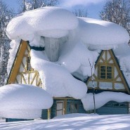 Флешмоб «Зимняя фантазия» фотографии