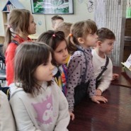 Выставка «Книги о природе» фотографии