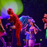 Дюймовочка и королевство эльфов фотографии