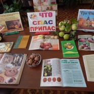 Книжная выставка «Август - яблочко припас» фотографии