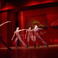 Показ записи хореографической композиции «Танец змей» фотографии