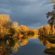«Театральный понедельник» фотографии