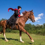 Познавательная программа «Его товарищ – верный конь» фотографии