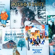 «Книги с зимними обложками» фотографии